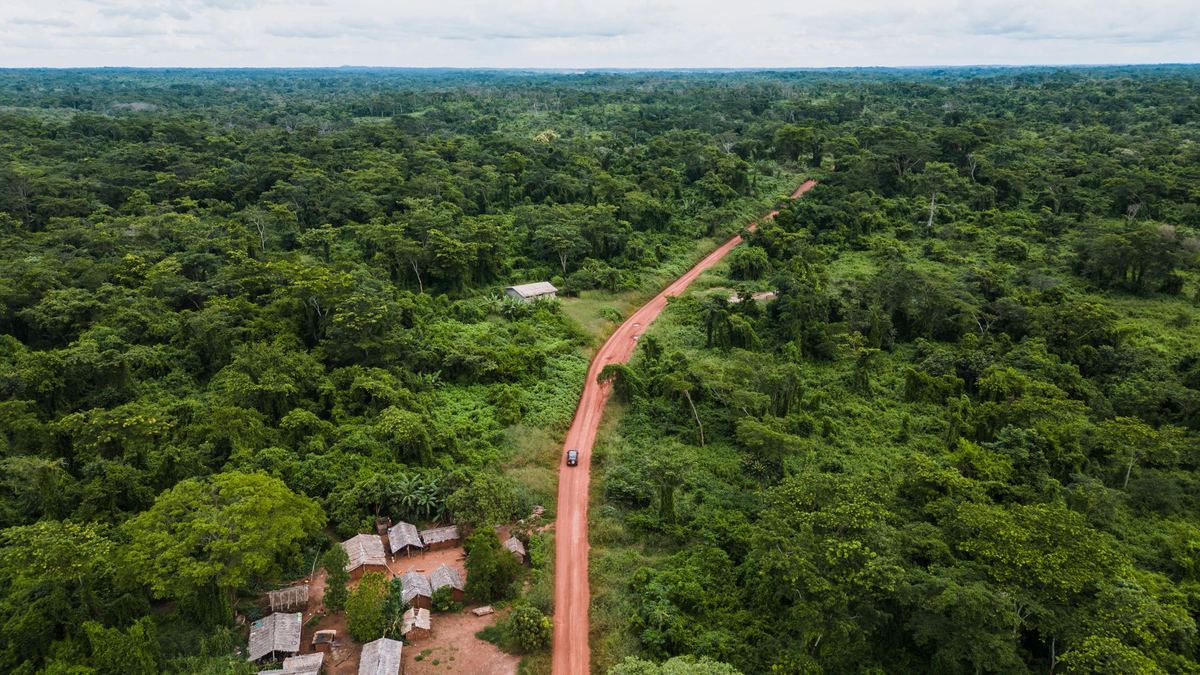 Aerial view of a red dirt road cutting through dense green rainforest canopy.